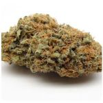 Шишки AK47 (Гидропоника, Бошка) VHQ в Бугульме Шишки AK47 (Гидропоника, Бошка) VHQ в Бугульме